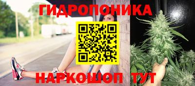 СК Пугачёв